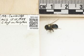 Media type: image;   Entomology 790499 Aspect: Labels